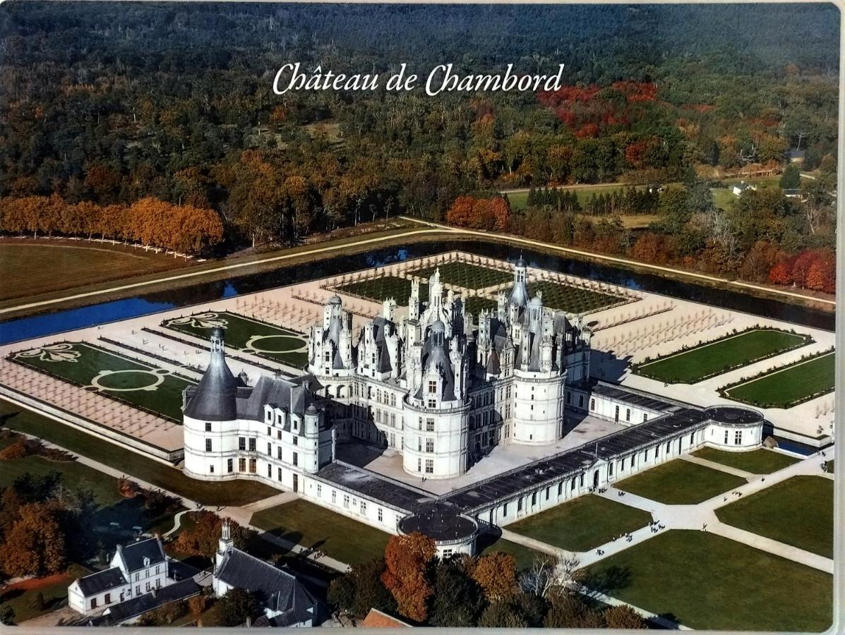 Gite Du Domaine De Juliette Location Proche Du Zoo De Beauval Et Des Chateaux Villa Selles-sur-Cher Eksteriør bilde